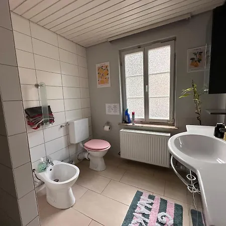 Olive Neckarmuehle Neckartenzlingen